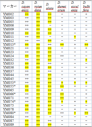 表1 種間の系統関係の調査に有効なマーカー