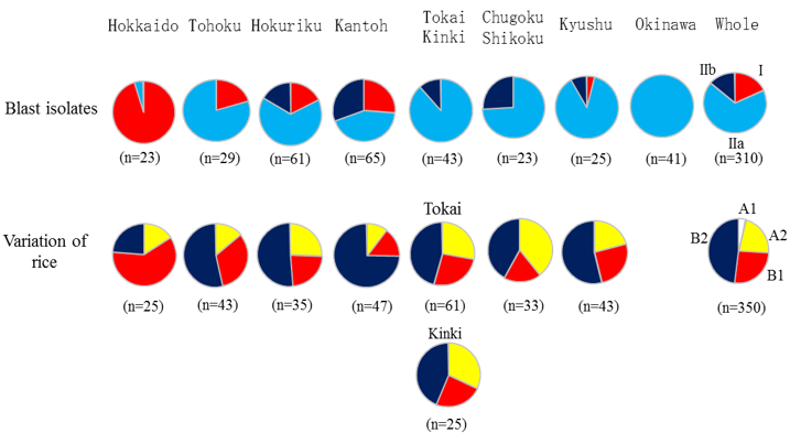 Fig. 1. Genetic variation of blast races and resistance in rice cultivars in each region of Japan.