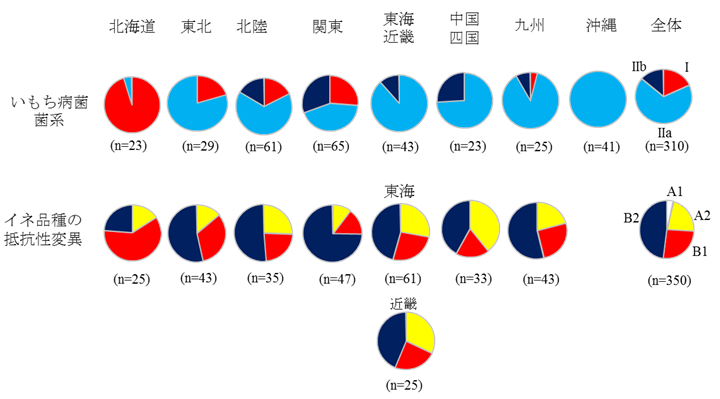 図1 日本の各地における異なる病原性を示すいもち病菌菌系とイネ遺伝資源抵抗性の変異