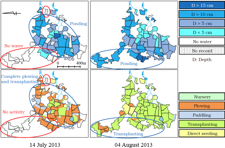 Fig. 1. Surface water depth (upper) and practiced farming activities (lower) in each field