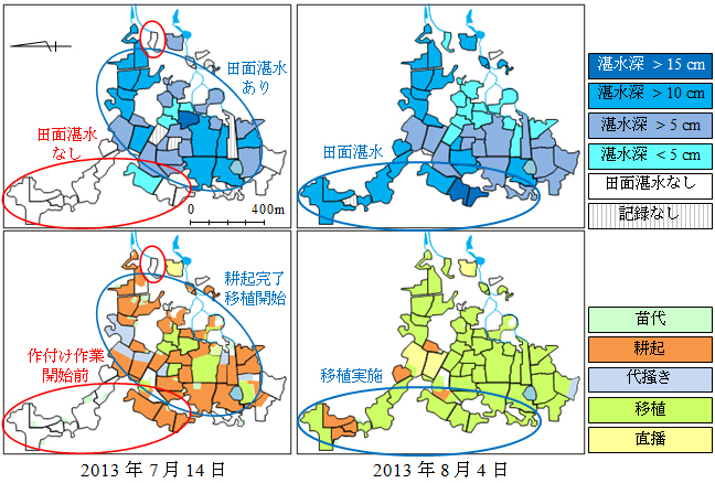 図1　N村の田面湛水の分布（上）と水稲関連作業の実施状況（下）