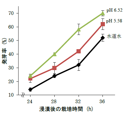 図1 微酸性電解水 (ACC 10ppm) に浸漬した大豆の発芽率