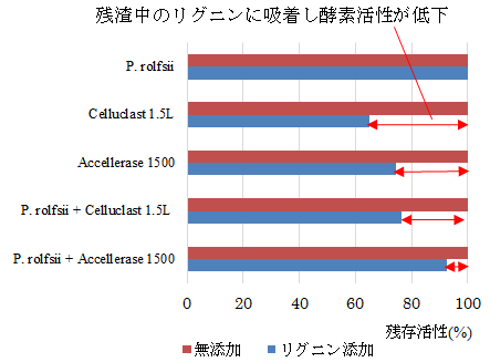 図2 リグニン添加によるP. rolfsi及び市販糖化酵素の反応液上清の残存活性