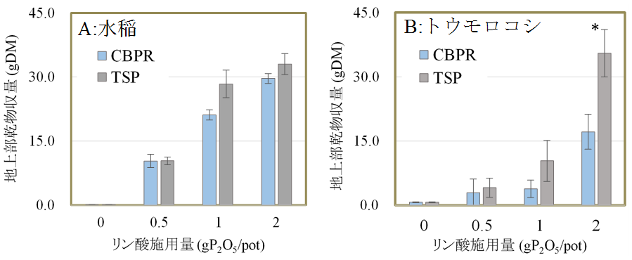 図1　焼成物および重過リン酸石灰の施用量が水稲(A)およびトウモロコシ(B)の地上部乾物重におよぼす影響