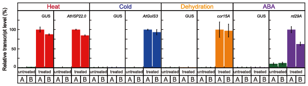 Fig. 1. Transcriptional activity of the optimal HS-inducible synthetic promoter.