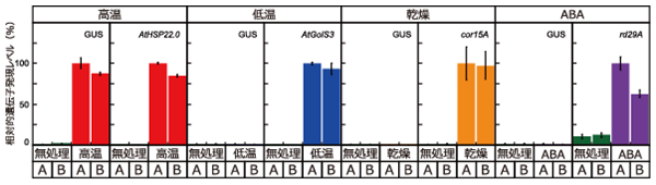 図1　高温、低温、乾燥、ABA処理後における遺伝子発現のレベル