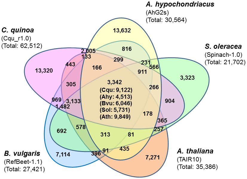 Fig. 2. Cluster analysis of the 62,512 filtered gene sequences.