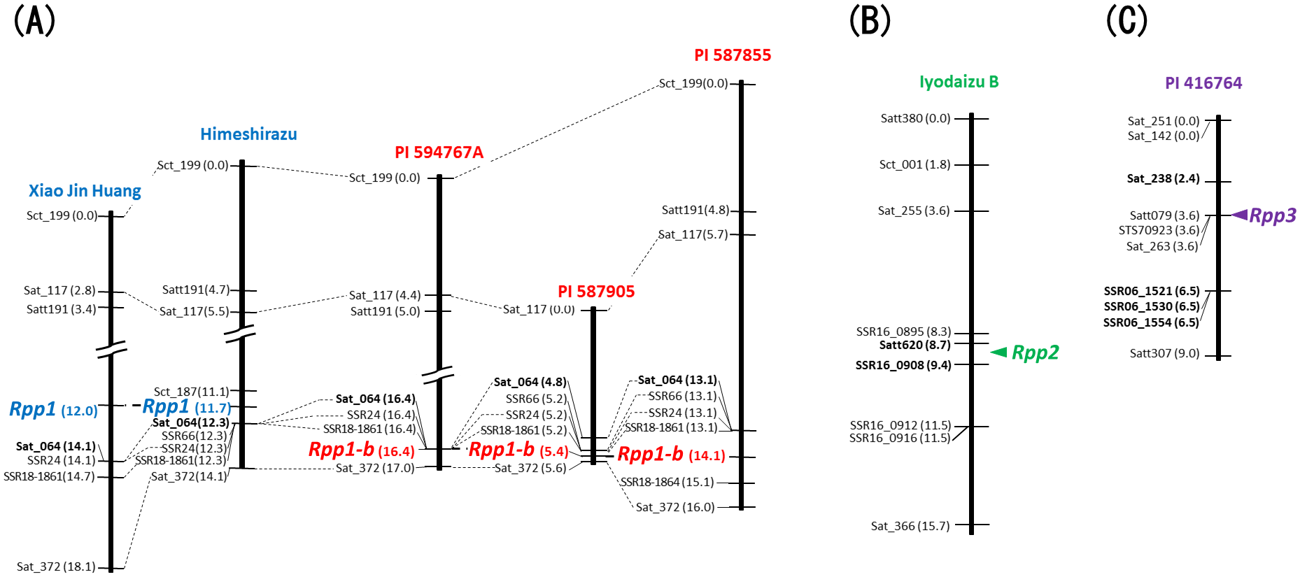 Fig. 1. Molecular linkage maps of ASR resistance loci in seven soybean varieties.