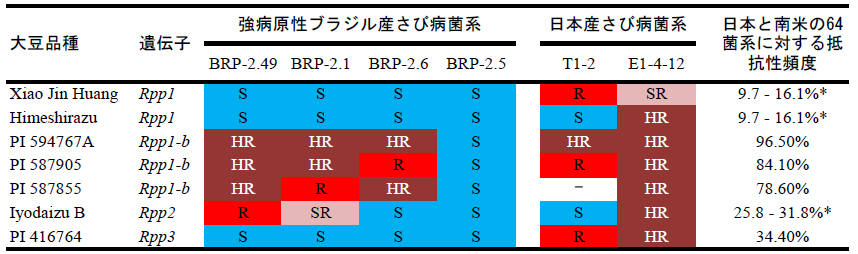 表１ 大豆7品種の持つ抵抗性遺伝子の南米及び日本のさび病菌に対する反応
