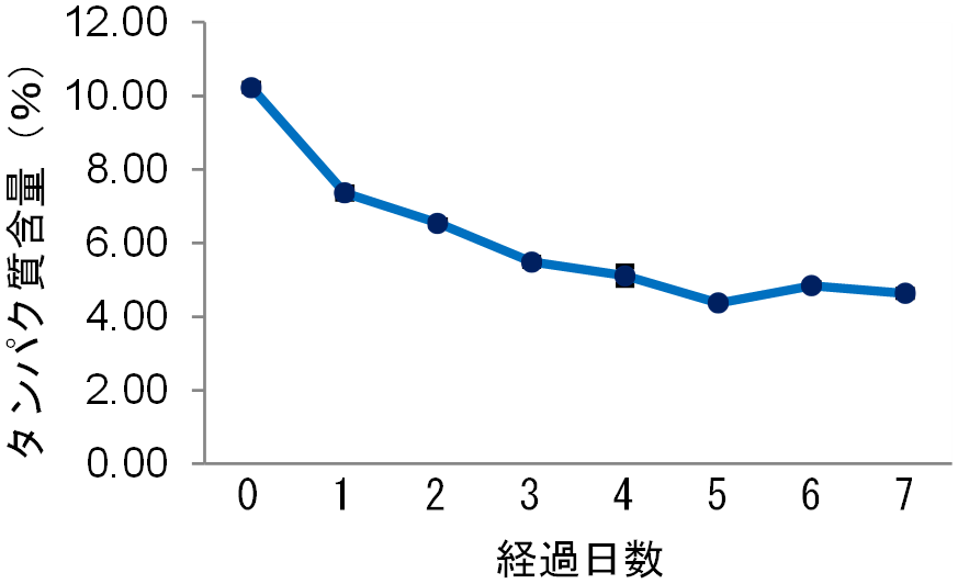 図２ 発酵過程とタンパク質含量