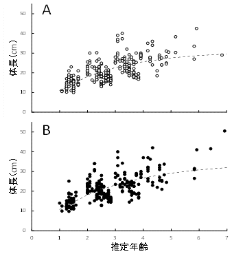 図2．パ・コーの成長モデル（A：メス、B：オス）