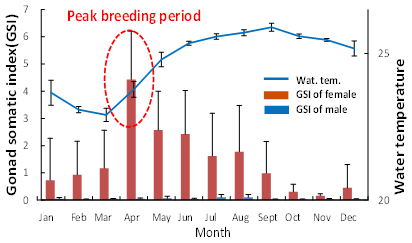 Fig. 3. Seasonal changes in the GSI of Pa koh and in water temperature.