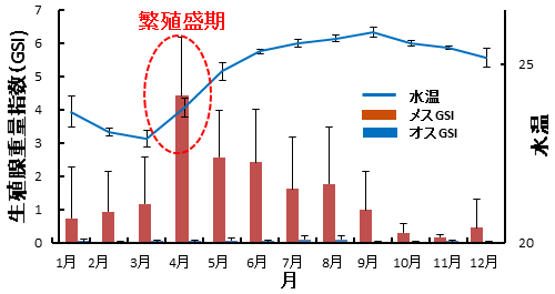 図3．パ・コー雌雄の生殖腺重量指数（GSI）と水温の季節変化