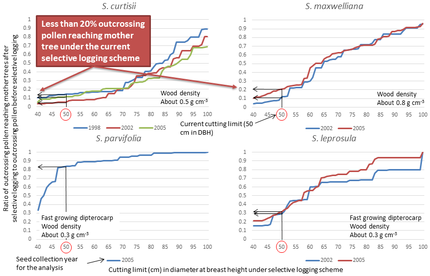 Fig. 1. Simulating the ratio of outcrossing pollen reaching mother trees after selective logging to outcrossing pollen without selective logging for four dipterocarp timber species.