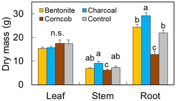 Fig. 3. Dry mass of each plant organ at the end of experiment (July 2014)