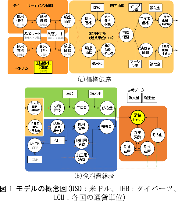 図１ モデルの概念図(USD：米ドル、THB：タイバーツ、LCU：各国の通貨単位)