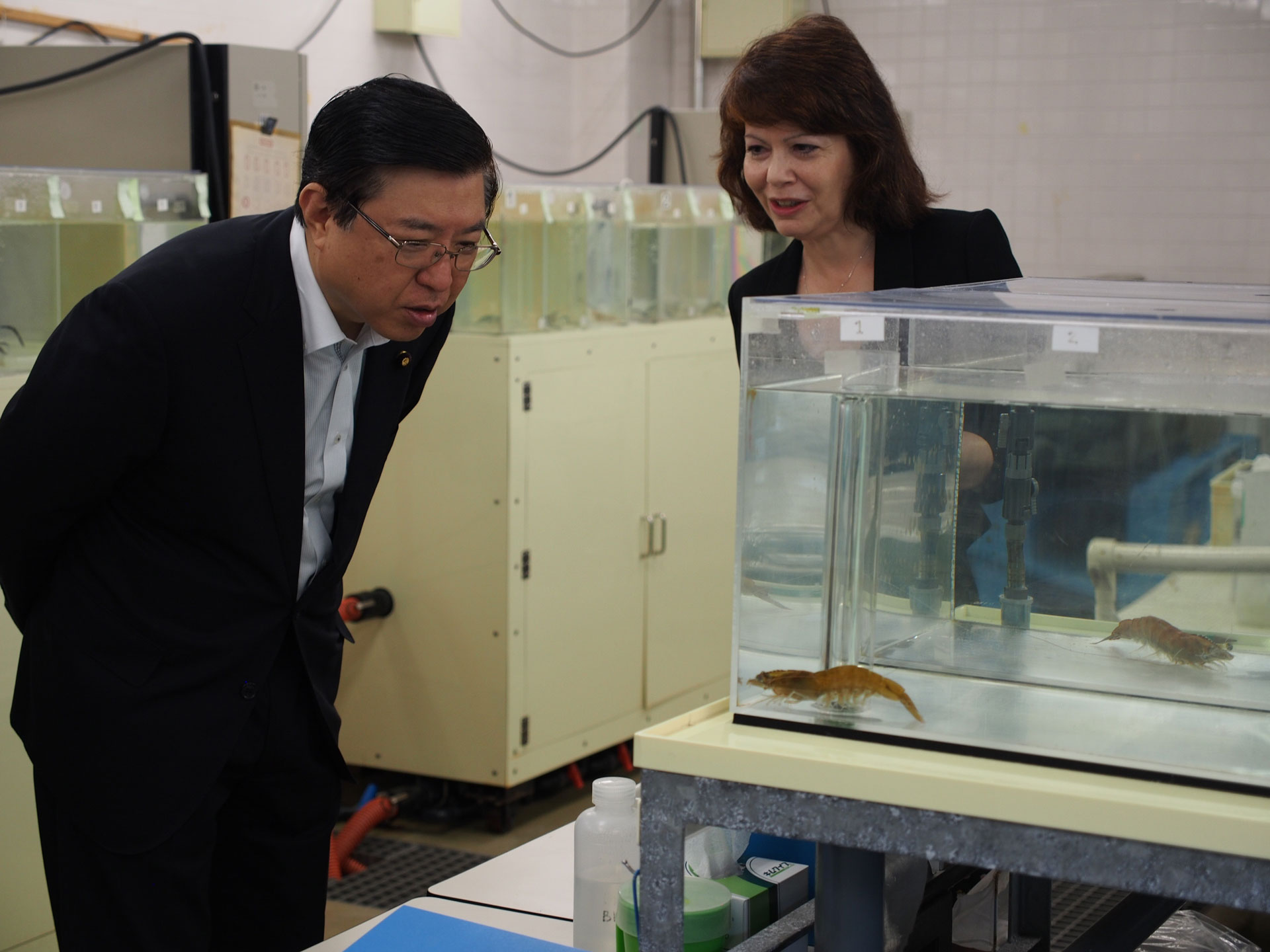 愛媛県農林水産研究所 水産研究センター