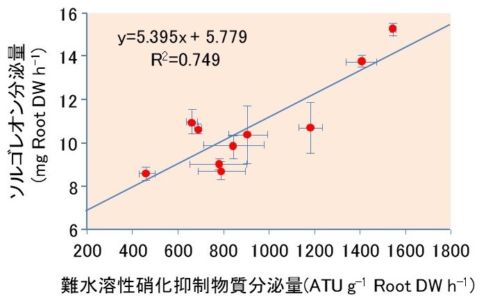 図1 ソルガムの根での難水溶性硝化抑制物質分泌量とソルゴレオン分泌量との関係