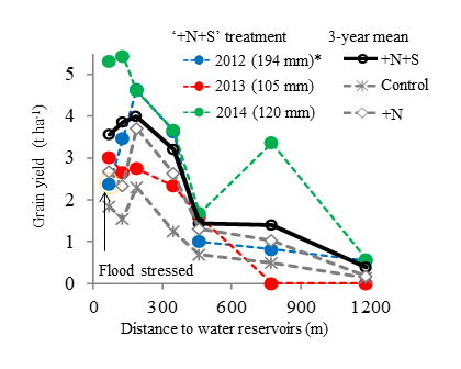 Fig.3. Effect of topographical condition and fertilizer management on rice yield