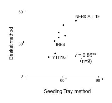 Fig. 3. Root vertical angle (RVA) relationship between the basket and seedling tray methods in IR 64 and eight accessions with the IR 64 genetic background