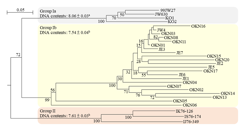 Fig. 2. Phenogram of the 29 accessions based on SSR genotyping data from 39 primer pairs. 