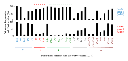 Fig. 1. Virulence frequencies of blast isolates from each cluster group on differential varieties.