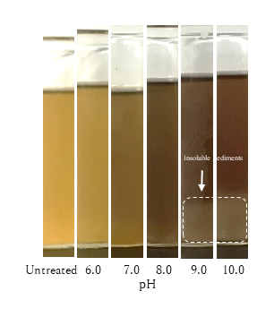 Fig. 1. Treatment of sap at various pH