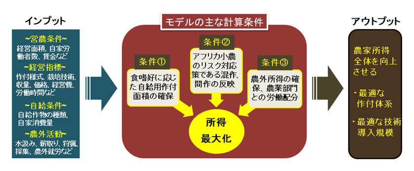 図1 アフリカ小農特有の条件を反映した農業経営計画モデル