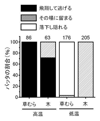 図4 成虫の逃避行動に及ぼす植物と気温の影響