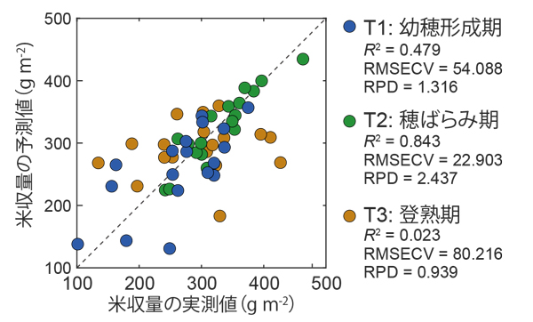 図2 米収量の実測値とPLS回帰分析による予測値の関係