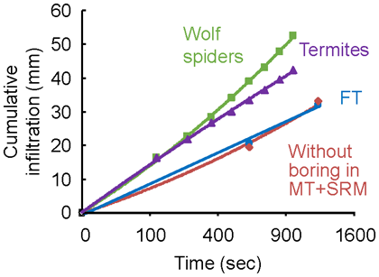 Fig. 2. Permeability of soils in full tillage plot (without animal holes) and soils with/without holes made by termites and wolf spiders in minimum tillage + sorghum residue mulching plot.