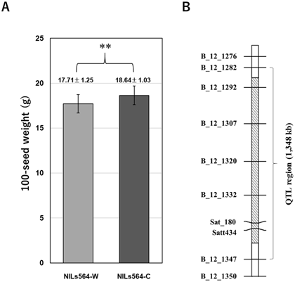 Fig. 2. Seed weight QTL qSW12.1 detected in the wild soybean CSSLs population.