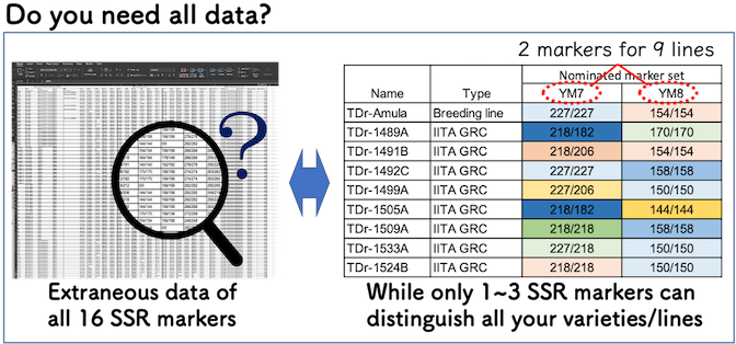 Do you need all data?","class":"media-element file-full cke_widget_element