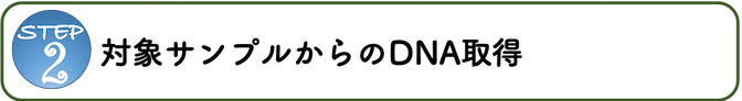 ステップ2：対象サンプルからのDNA取得