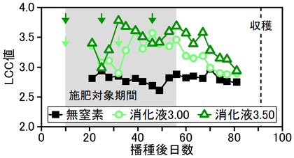 図2 実験2におけるLCC値の推移の例