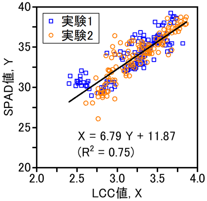 図3 LCC値とSPAD値の関係