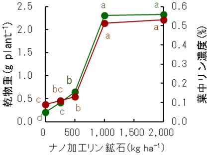 図4 ナノ加工リン鉱石施用がホウレンソウの生育に及ぼす影響