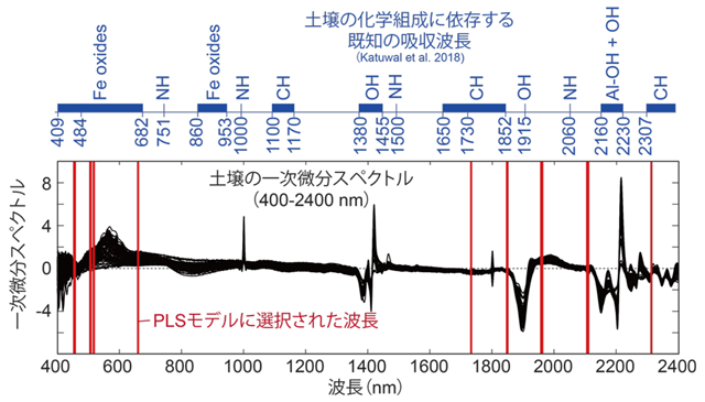 図3 PLSモデルで選択された波長