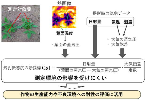 図1 気孔伝導度の新規指標(GsI)