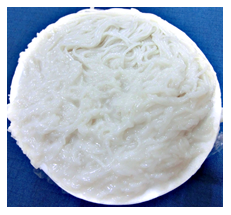 Fig. 1. Liquefaction of fermented rice noodles
