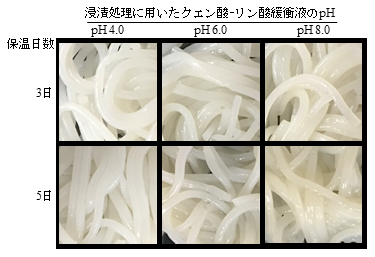 図2 緩衝液(pH 4.0, 6.0, 8.0)による浸漬処理を施した発酵型米麺を37℃で3, 5日間保温した時の形状変化