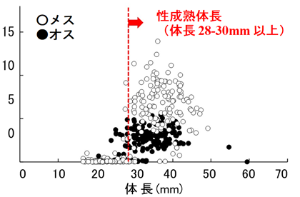 図3 パケオの体長とGSIの関係