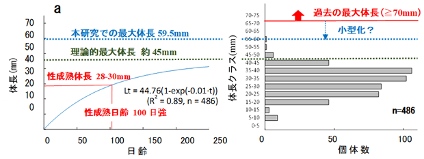 図4 パケオ個体群の成長モデル(a)と体長頻度分布(b)