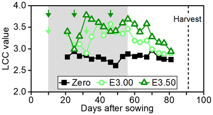 Fig. 2. An example of seasonal shifts in LCC values in Experiment 2