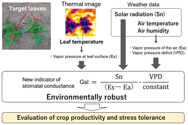 Fig. 1. A new indicator of stomatal conductance (GsI)