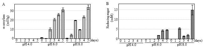 Fig. 3. Time-dependent change in α-amylase activity (A) and reducing sugar content (B) in fermented rice noodles treated with McIlvaine buffers at pH 4.0, 6.0, and 8.0