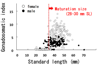 Fig. 3. Relationship between SL and GSI