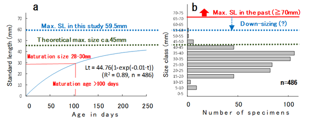 Fig. 4. Growth model of Pa keo population (a) and size frequency distribution (b)