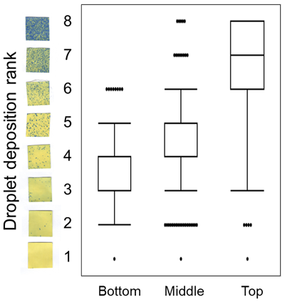 Fig. 1. Droplet deposition ranks at different heights of the rice plant