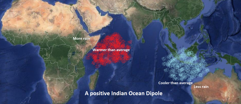 96 Nature Climate Change 東アフリカにおける気候変動とバッタ大発生 国立研究開発法人 国際農林水産業研究センター Jircas